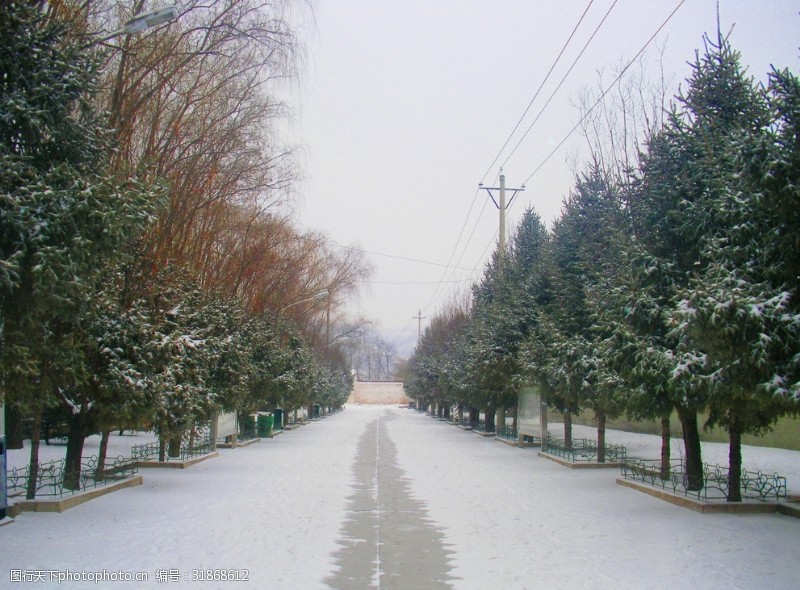 冬日里的城市街道