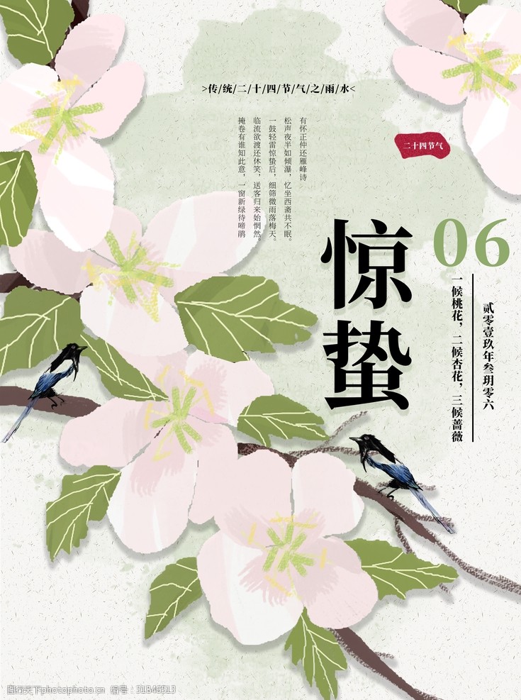 桃花与鸟图片免费下载 桃花与鸟素材 桃花与鸟模板 图行天下素材网