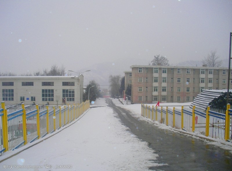 冬日里的城市雪景