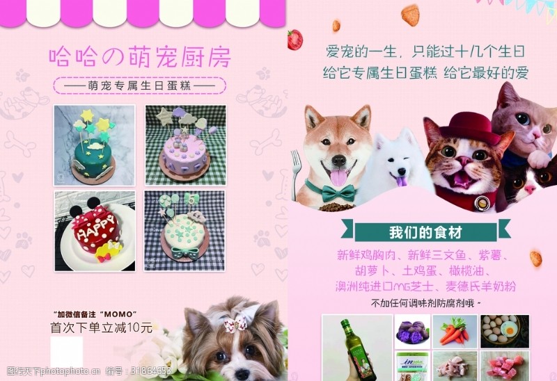 宠物之家宠物蛋糕宣传单