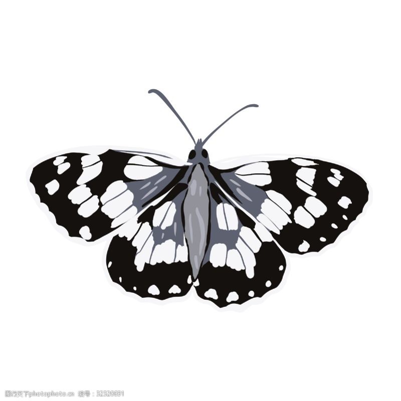 逼真动物蝴蝶手绘黑白色素材