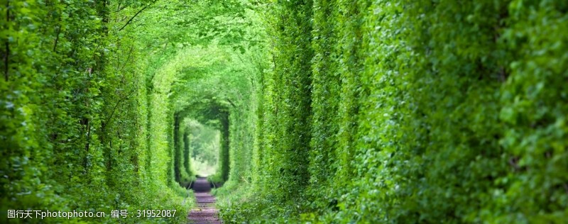 梦幻般的爱情隧道绿树和铁路