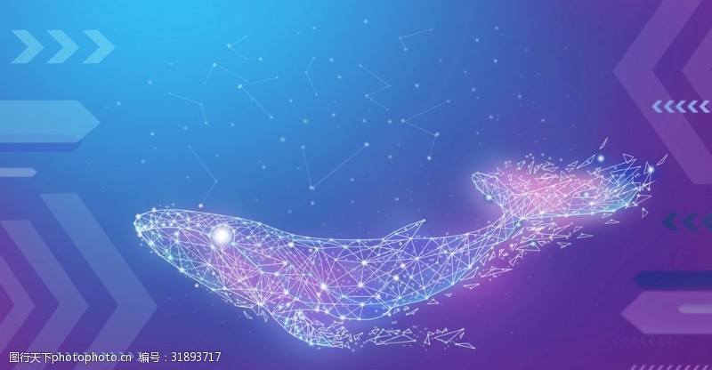 粒子科技线条鲸鱼海报背景