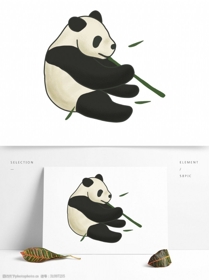 坐着的猫坐着吃竹子的可爱胖熊猫
