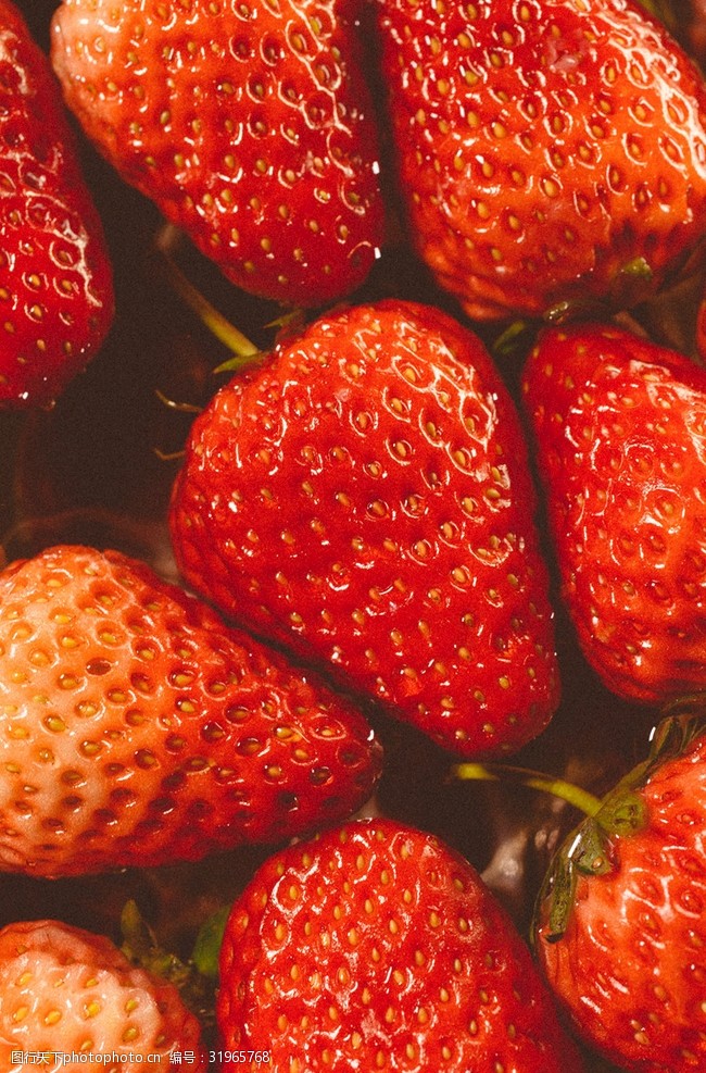 逸果草莓
