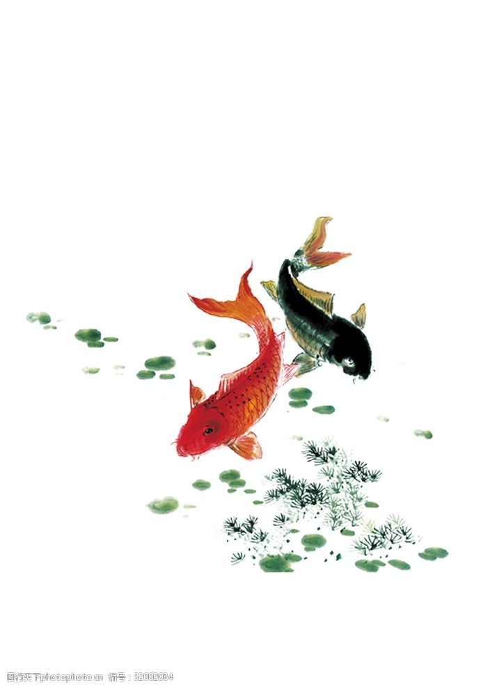 两条金鱼水墨中国风鲤鱼