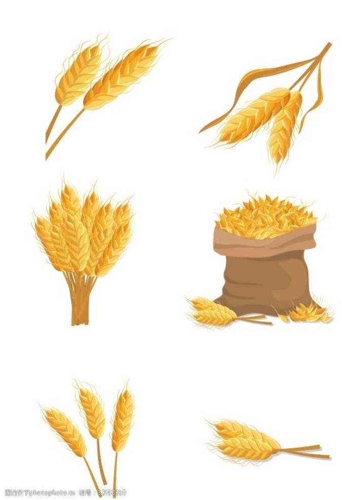 小麦粮食图标