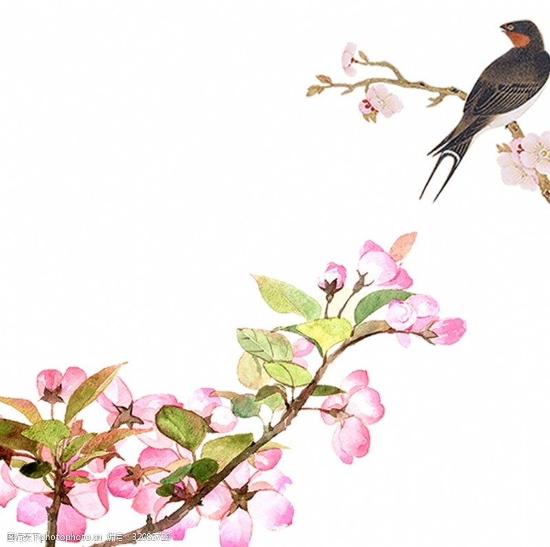 桃花与鸟图片免费下载 桃花与鸟素材 桃花与鸟模板 图行天下素材网