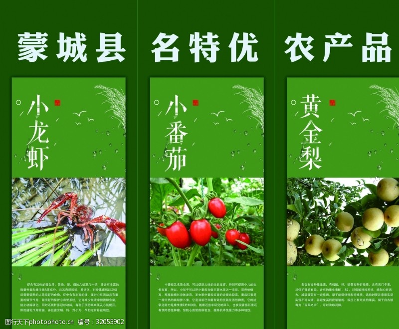 清明节展架绿色水果海报