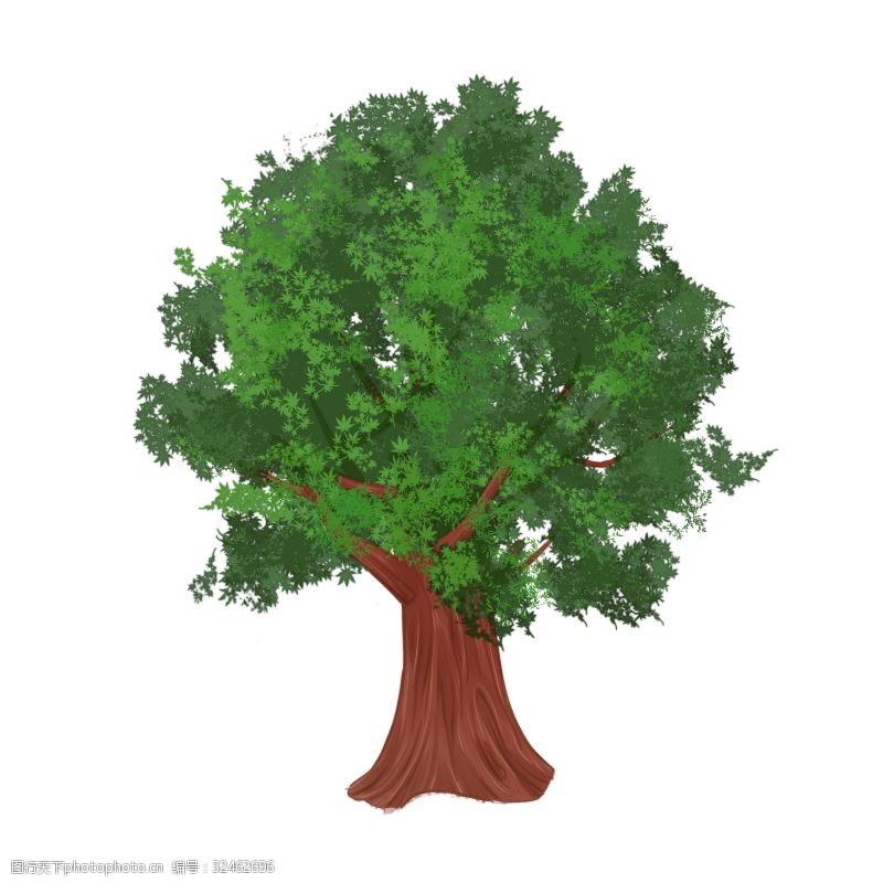 植树节大树绿色深绿色植物手绘写实插图PNG免抠