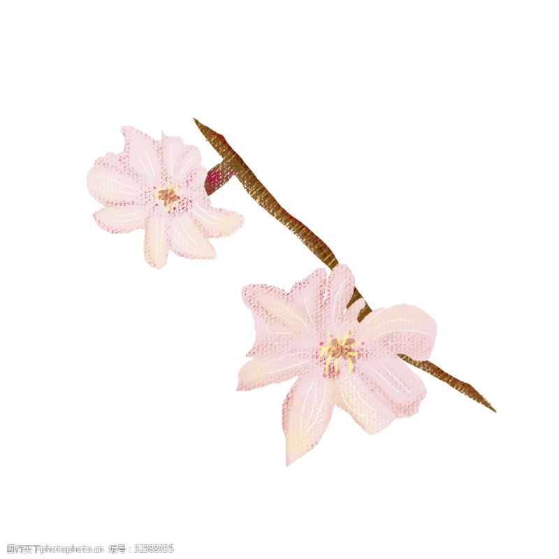 美丽迷人粉色樱花树枝PNG图片