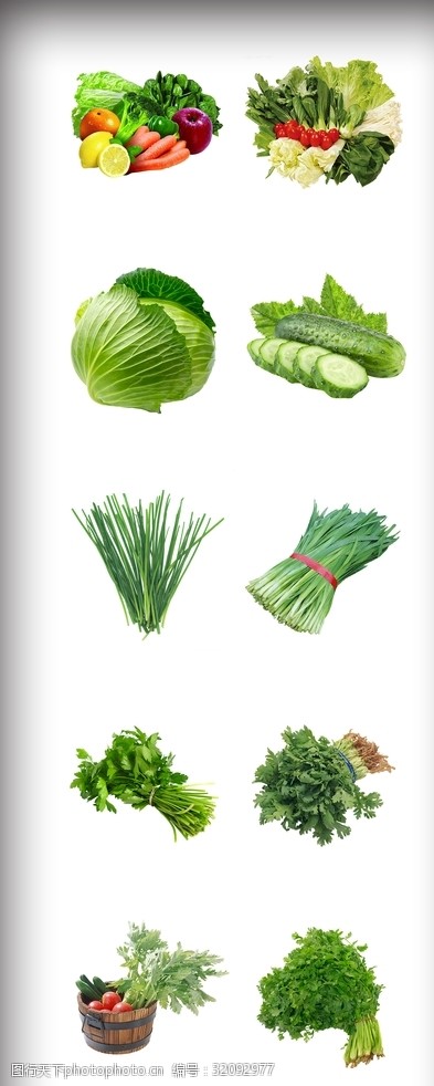 绿色蔬菜展架素材蔬菜素材