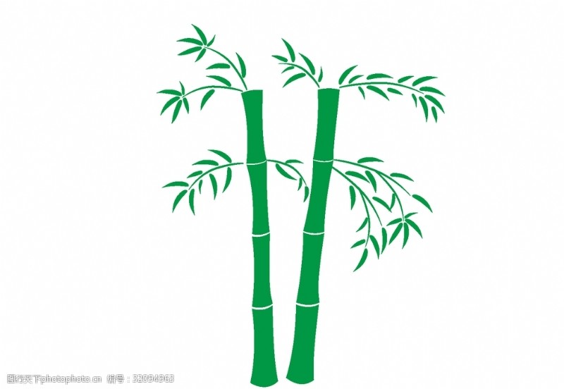 竹子盆栽竹