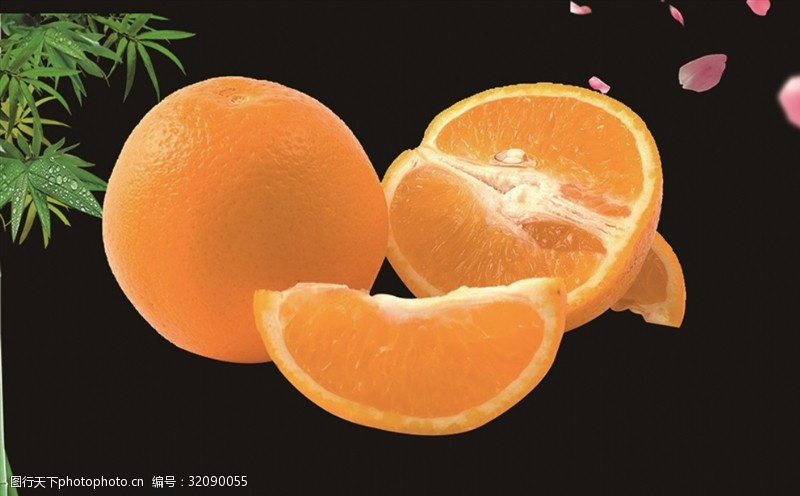 优质水果橙子