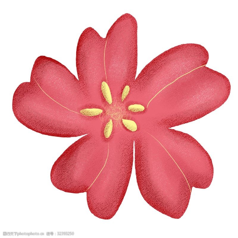 美丽迷人粉色绽放樱花PNG图片