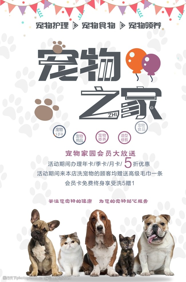 宠物美容宠物之家海报设计