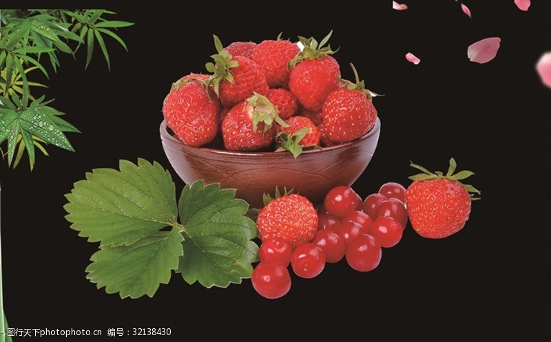 水果农场草莓