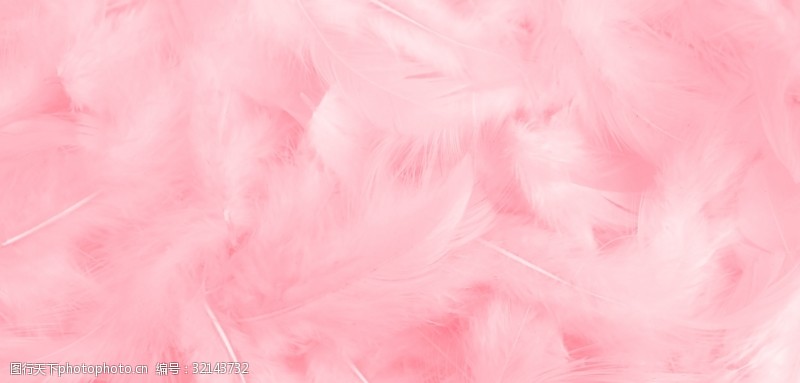 浪漫粉色粉红羽毛背景