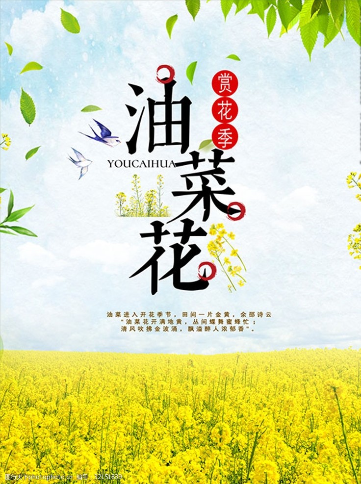 油菜花节春季旅游宣传