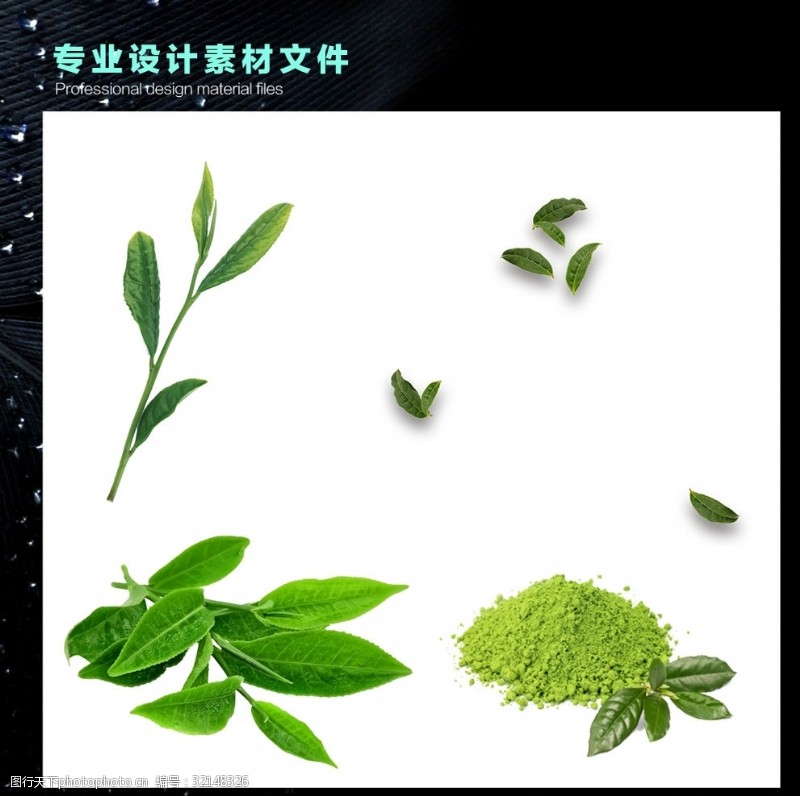 摘茶茶叶