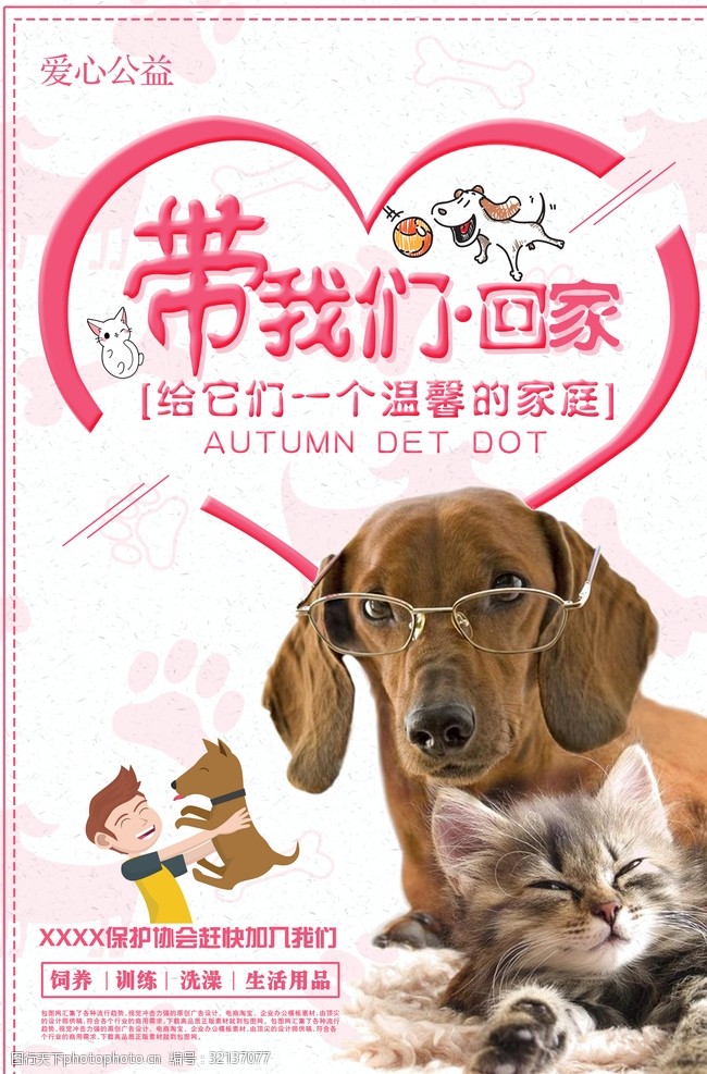 宠物领养公益海报