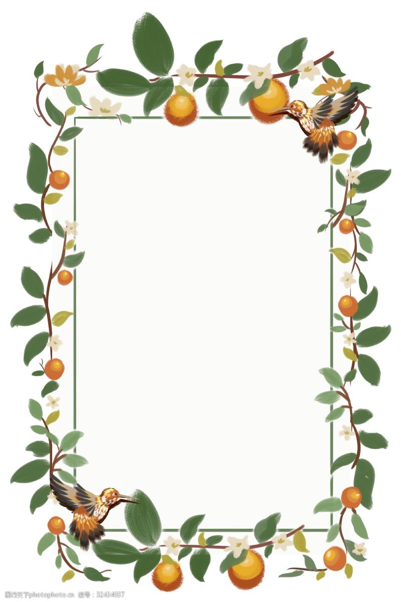 长方形格子复古绿植橙子橘树蜂鸟矩形贺卡边框