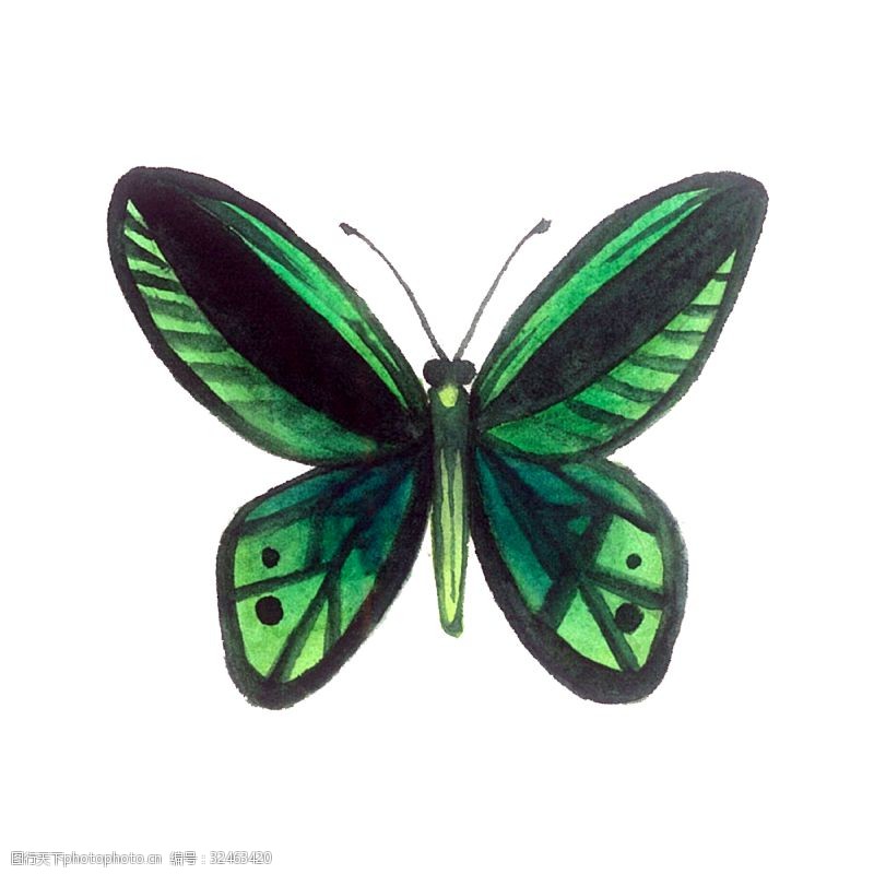 农历节气蝴蝶昆虫绿色翅膀透明PNG彩蝶
