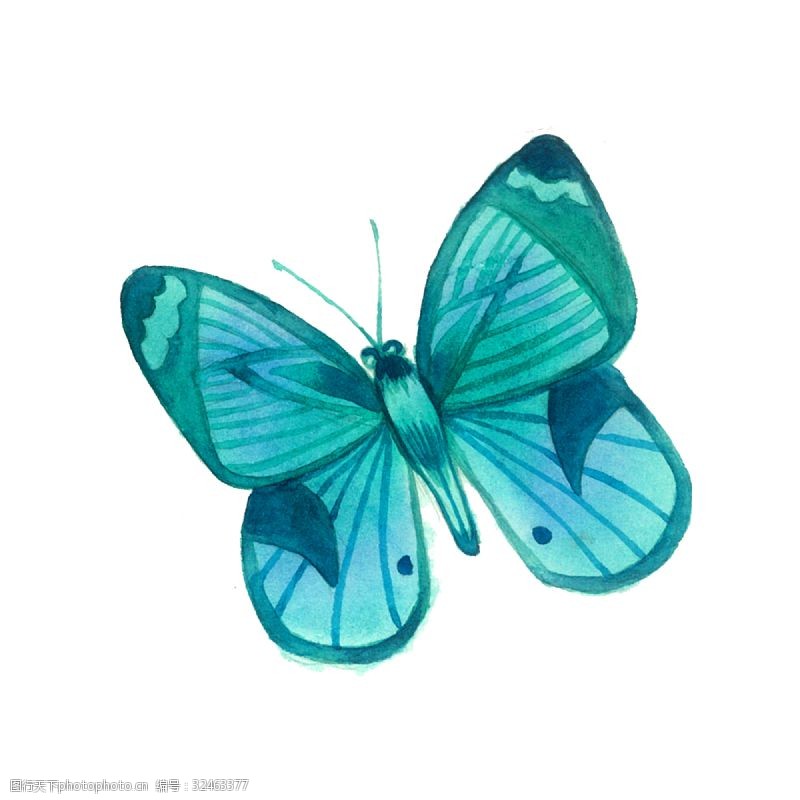 农历节气蝴蝶蒂凡尼蓝蓝绿透明渐变昆虫翅膀PNG