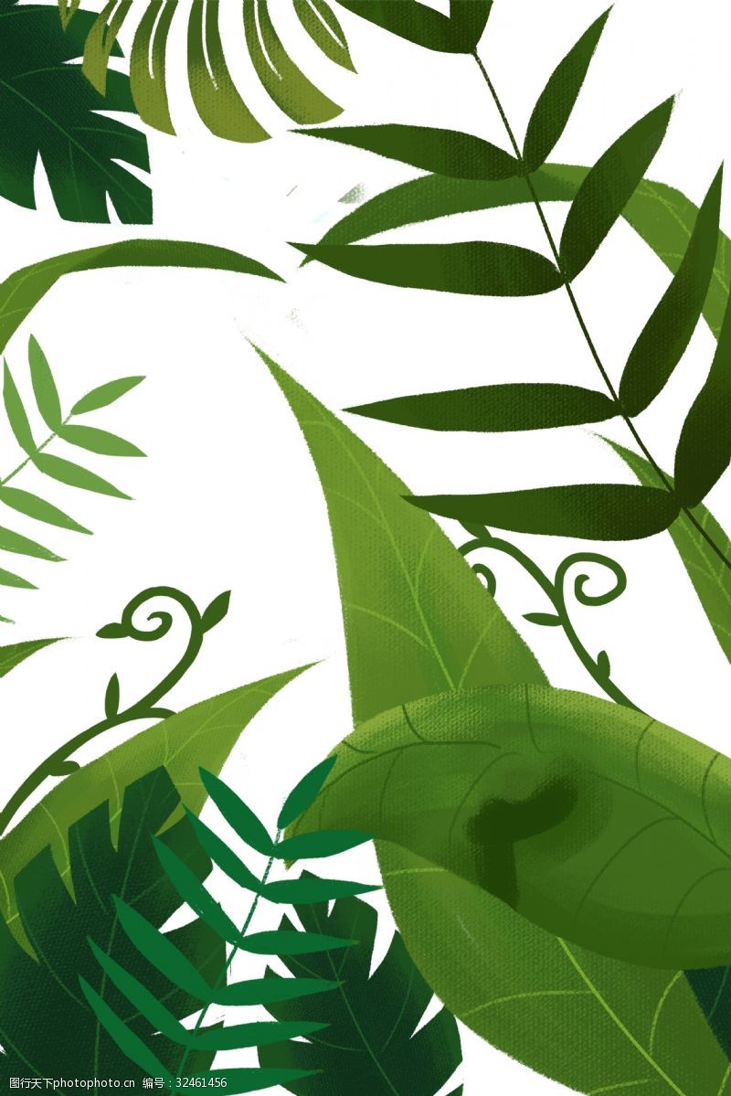 小清新树叶手绘卡通植物边框元素