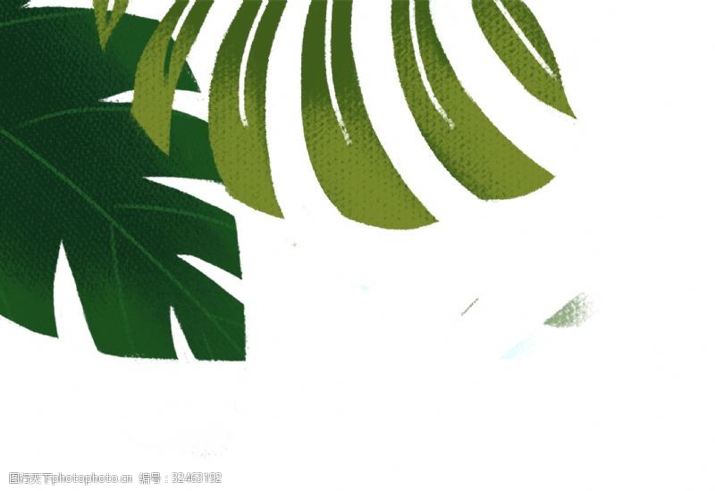 小清新树叶手绘卡通左上角植物边框元素