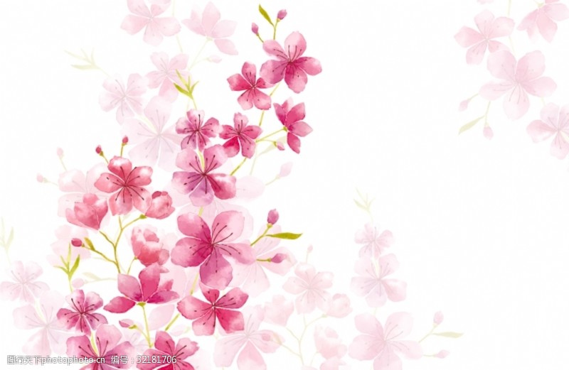 时尚画册粉红色植物花朵花卉树叶手绘背景