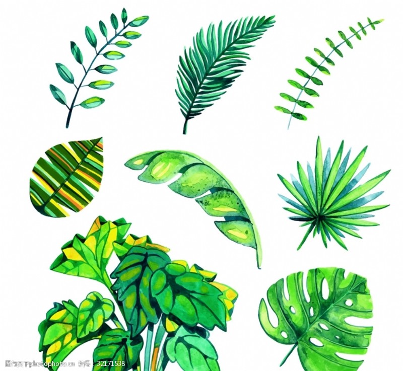 彩绘绿色树叶水彩绘绿色棕榈树叶