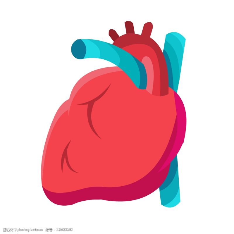 五官红蓝手绘人体器官心脏矢量免抠素材