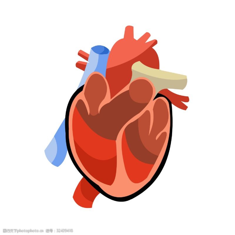 五官红色手绘人体器官心脏矢量免抠素材