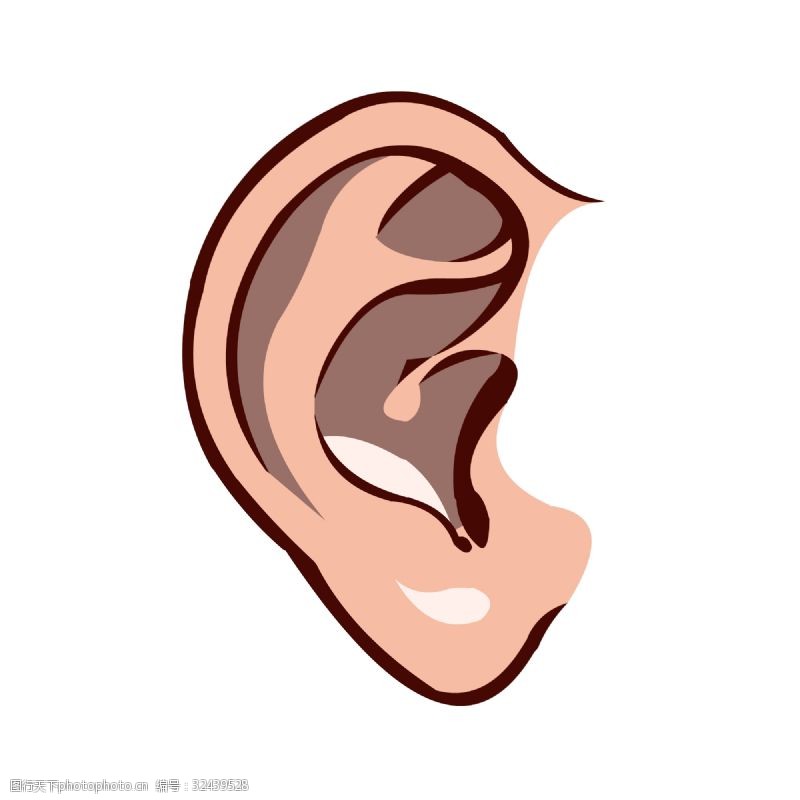 手绘人体器官人体五官耳朵结构