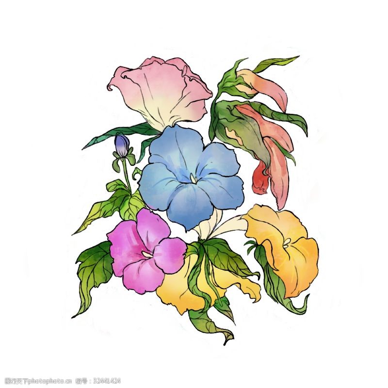 小清新树叶夏天花开彩色的花手绘插画
