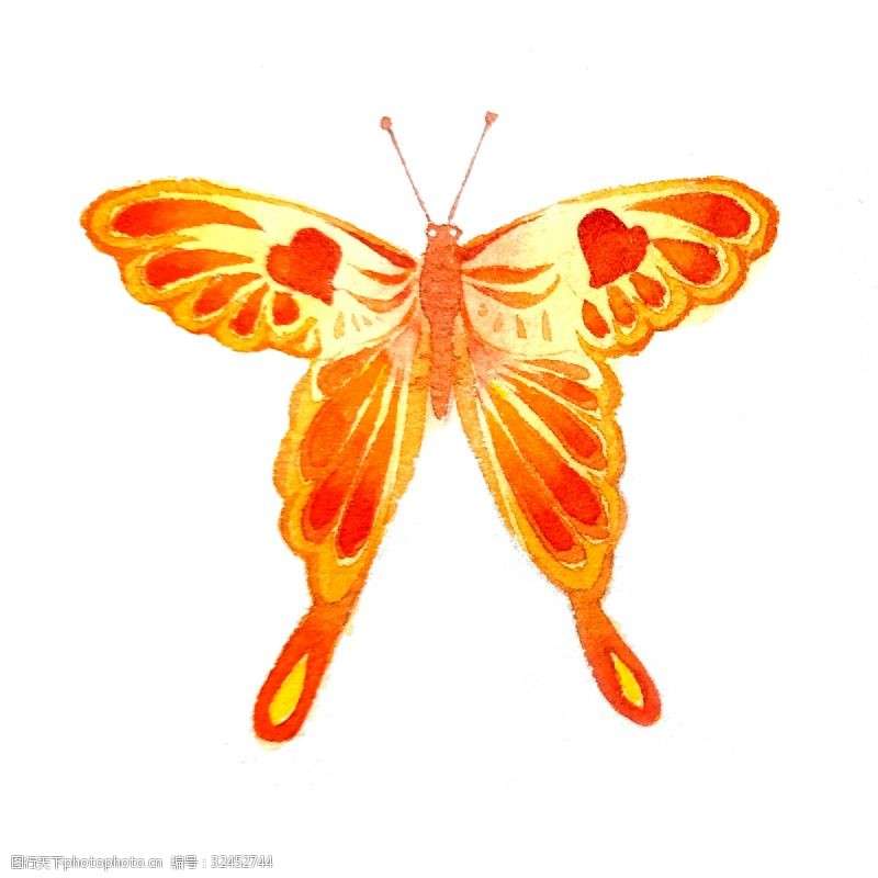 农历节气蝴蝶橙色翅膀昆虫美丽PNG