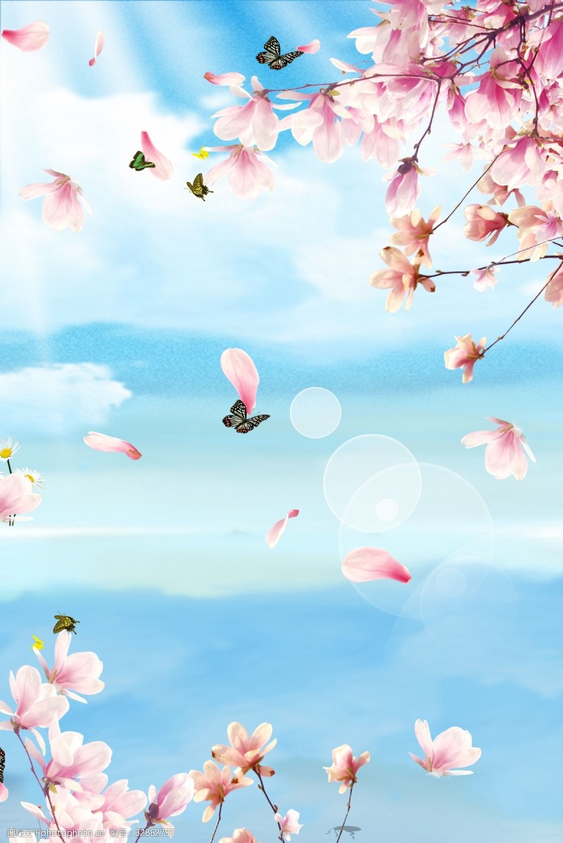 夏花的背景图片免费下载 夏花的背景素材 夏花的背景模板 图行天下素材网