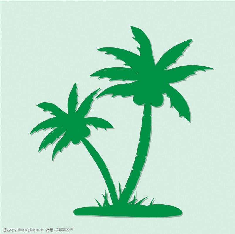 三亚底纹椰子树