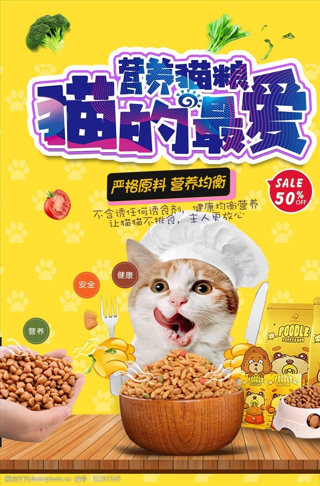 猫粮宠物猫海报
