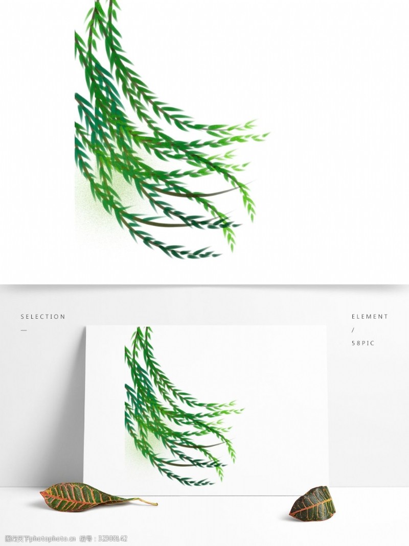 彩绘绿色树叶绿色柳叶树枝设计
