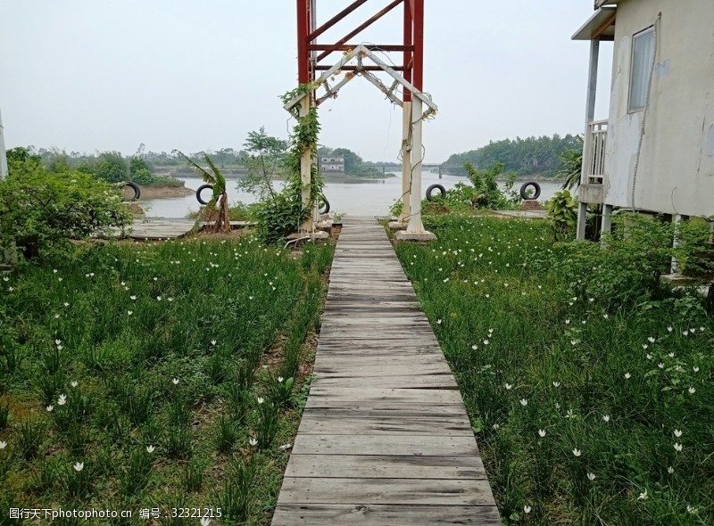 花海小道图片免费下载 花海小道素材 花海小道模板 图行天下素材网