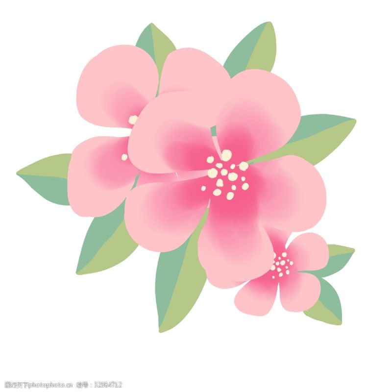 美丽迷人粉色的美丽樱花插画