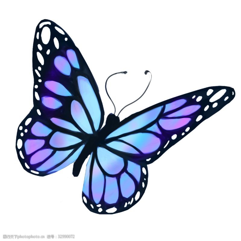 可爱装饰画蓝色的蝴蝶装饰插画