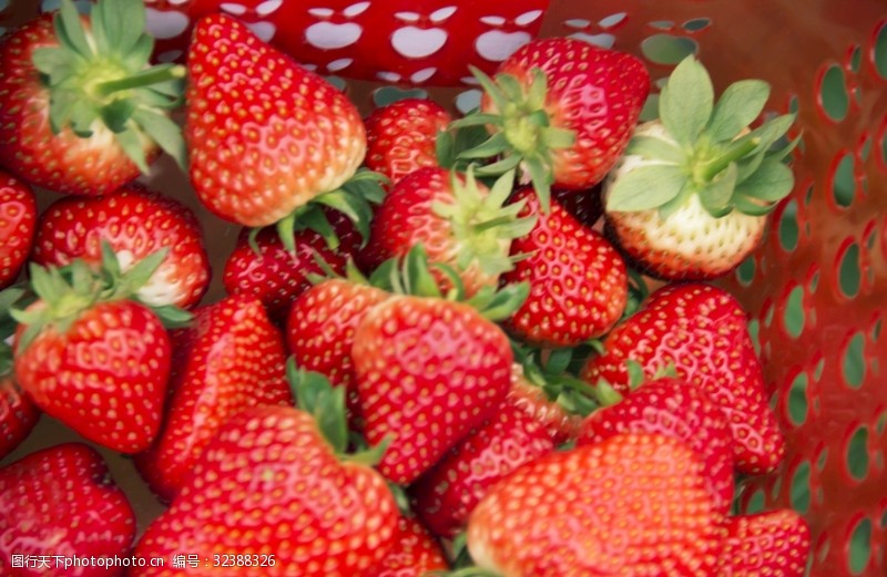 健康有机草莓