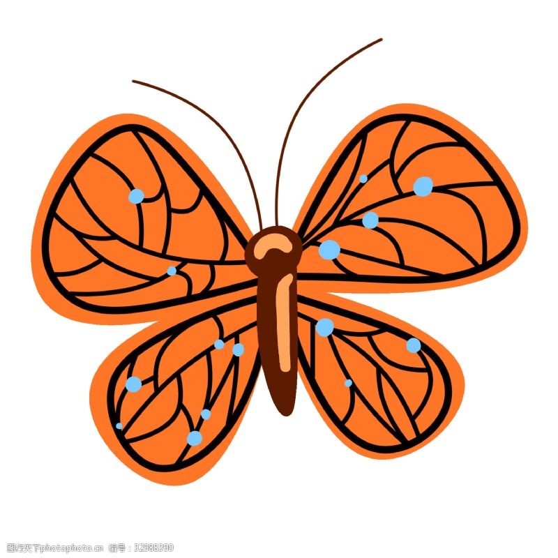 精美的花纹精美的橙色蝴蝶插画