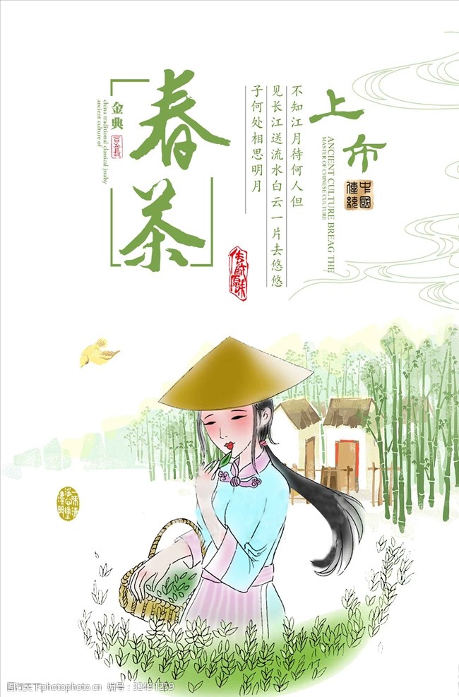 茶制作流程中国茶文化春茶海报