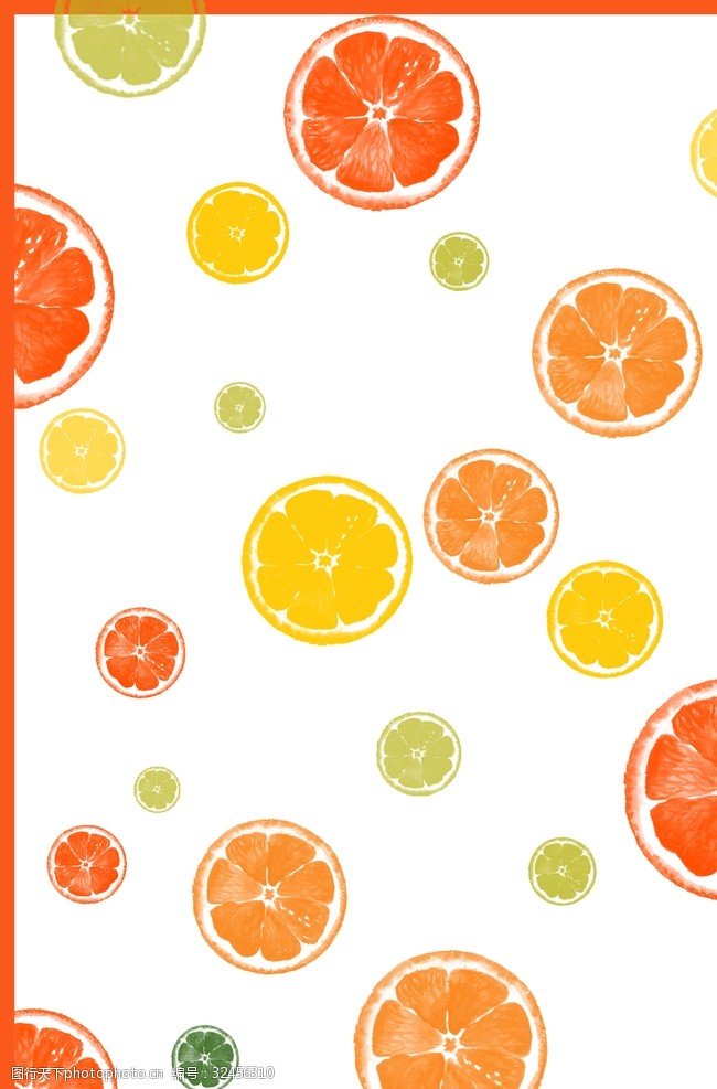 树枝素材橙子插画背景