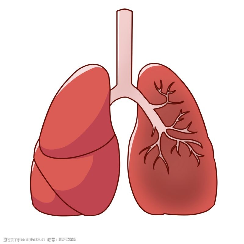 人体器官图卡通红色器官肺插图