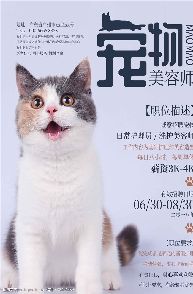 可爱猫咪宠物美容师招聘海报